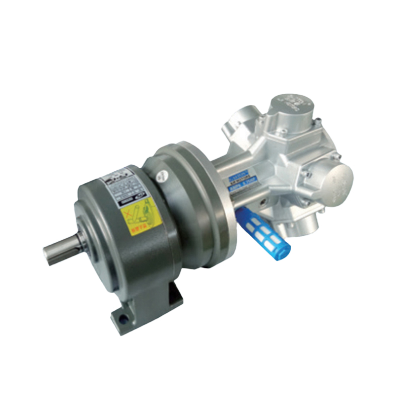 AMP5-C Motor cu reductor pneumatic