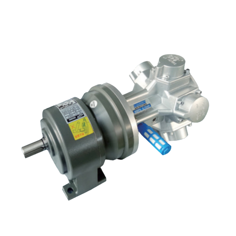 AMP6-C Motor cu angrenaj cu cuplu ridicat