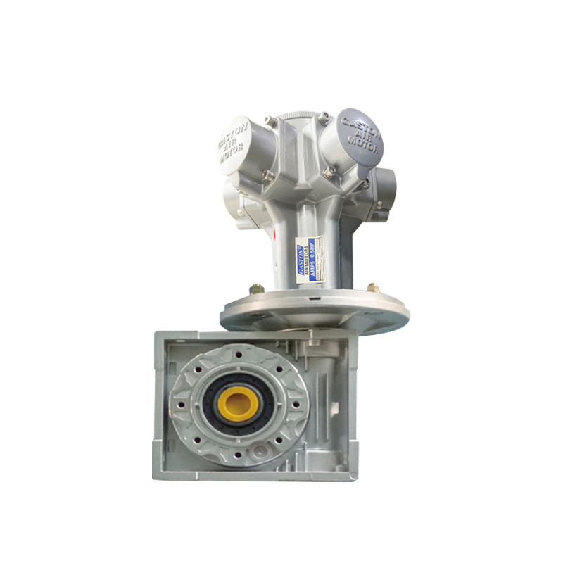 AMP5-RV Motorreductor cu cuplu mare