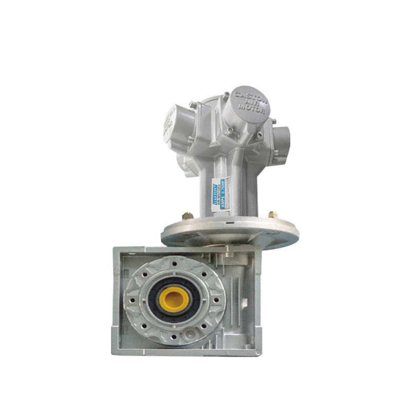 AMP6-RV Motor de reducere cu piston